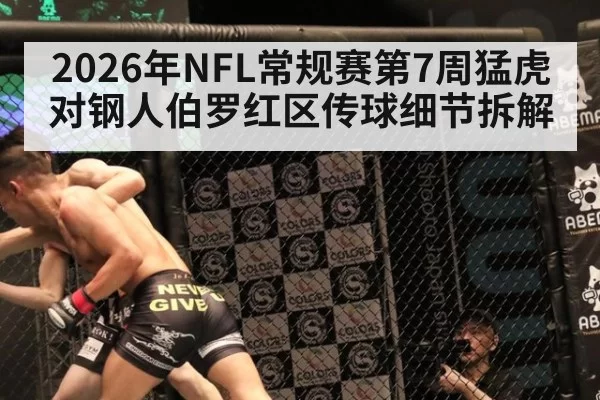 2026年NFL常规赛第7周猛虎对钢人伯罗红区传球细节拆解